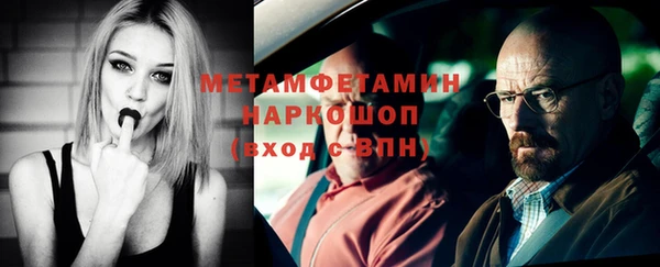 гидра Михайловка