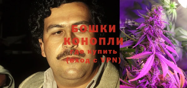 амф Гусиноозёрск