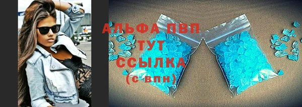 амф Гусиноозёрск