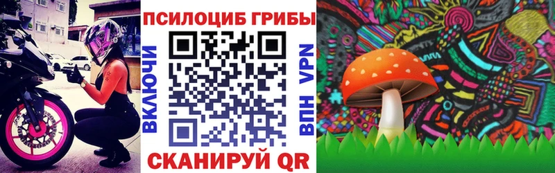где купить наркоту  Острогожск  Галлюциногенные грибы Psilocybine cubensis 