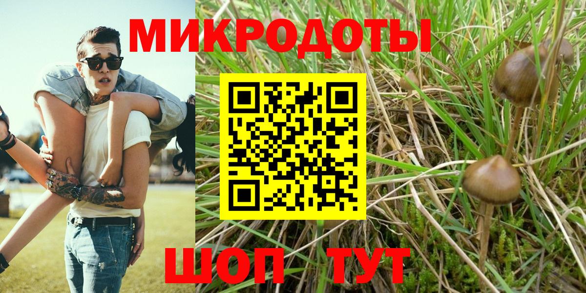 Галлюциногенные грибы Cubensis  Псилоцибиновые грибы MAGIC MUSHROOMS  Острогожск 