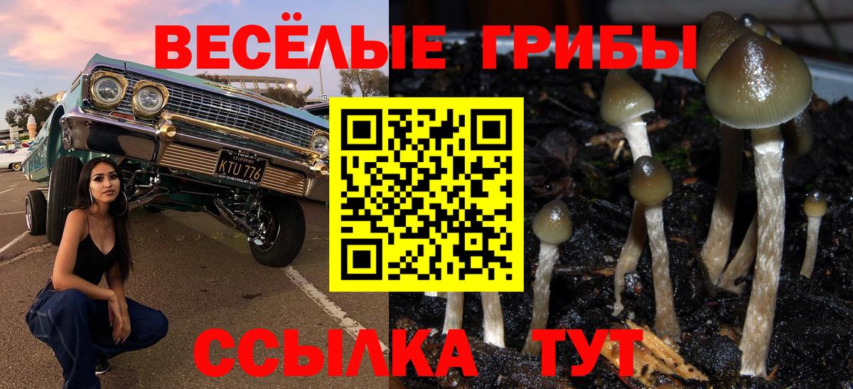 Псилоцибиновые грибы GOLDEN TEACHER  Вход с VPN  Острогожск 